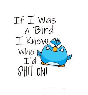 BD/If I Was A Bird