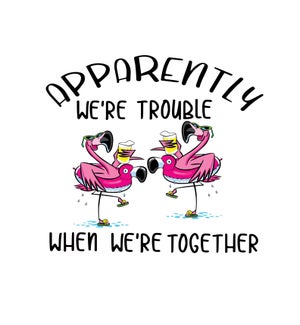 FR/Apparently We're Trouble