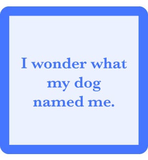 COASTER/Dog Named Me