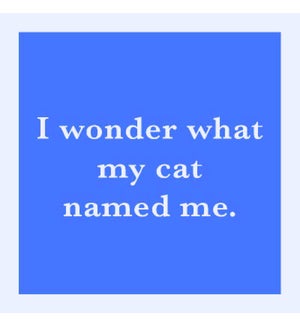 COASTER/Cat Named Me