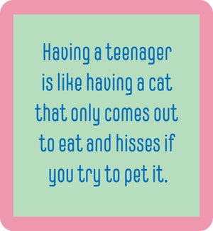 COASTER/Teenager/Cat