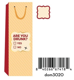 WINEBAG/Are You Drunk