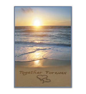 AN/Together Forever