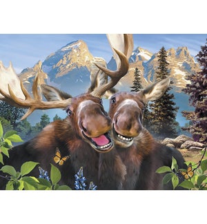 AN/Pair of moose smiling