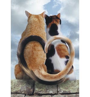 AN/Two cats tails heart