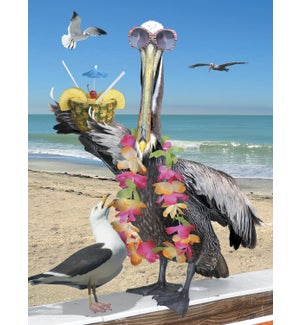 BD/Pelican sunglasses and lei