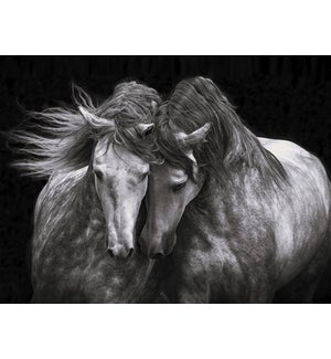 BL/Two horses