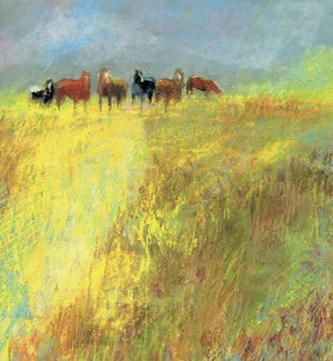 BL/Horses standing in pasture