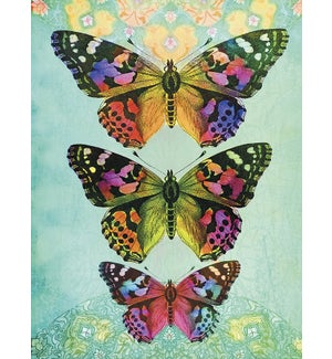 BL/Three colourful butterflies