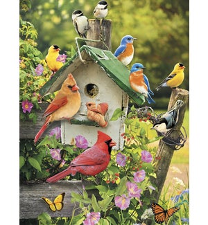 BL/Songbirds around birdhouse