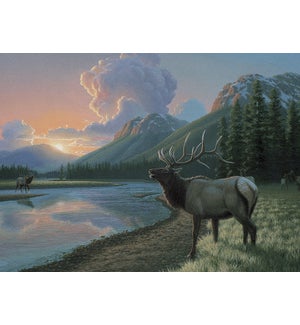 BL/Elk at river during sunset