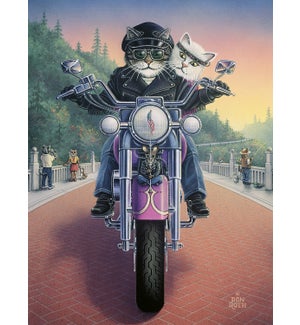 BL/Cats on motorcycle