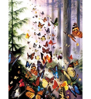 BL/Butterflies in the woods