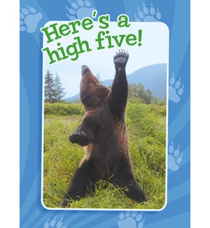 CO/Bear on hind legs, paw up