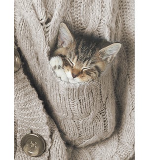 TOY/Sleeping kitten in sweater