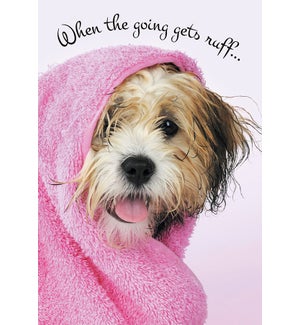ED/Wet dog in pink towel