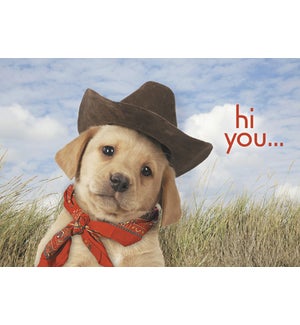TH/Puppy wearing cowboy hat