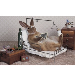 GW/Bunny on a hospital bed