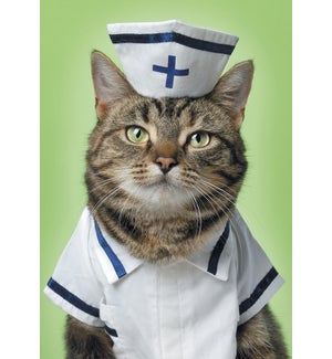 GW/Cat in nurse's uniform