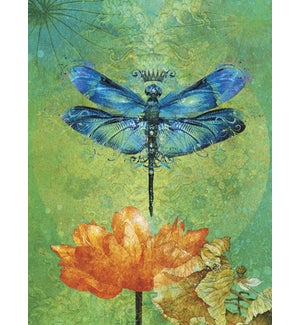 EN/Dragonfly & flower