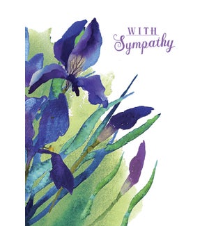 SY/Purple lilies