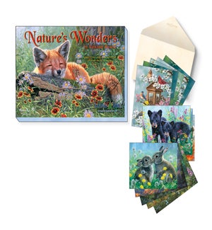 ASSORTMENT/Nature's wonders