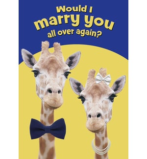 AN/Two giraffe with bow tie