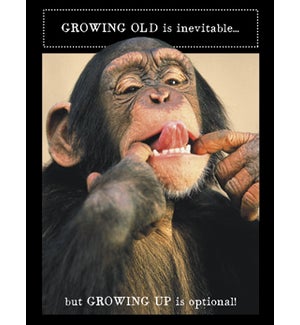 BD/Chimpanzee &  tongue