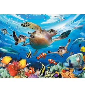BD/Underwater sea turtle
