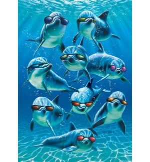 BD/Dolphins wearing sunglasses