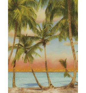 BD/Palm trees on beach