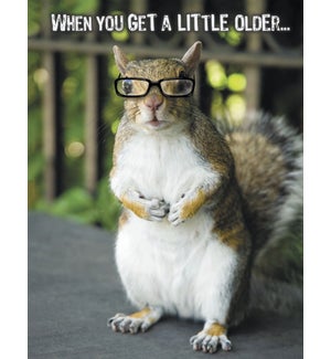 BD/Squirrel wearing glasses