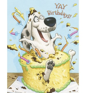 BD/Dog popping out of cake