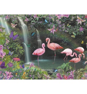 BL/Flamingos standing in water