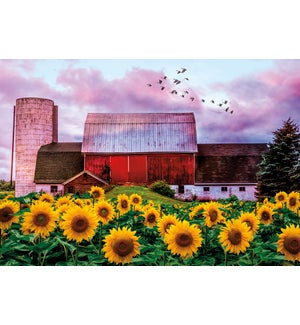 BL/Red barn, silo, sunflowers