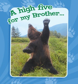 RED/Bear standing on hind legs