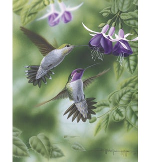 NOTECARD/hummingbirds