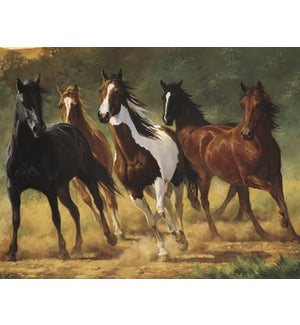 NOTECARD/Running horses