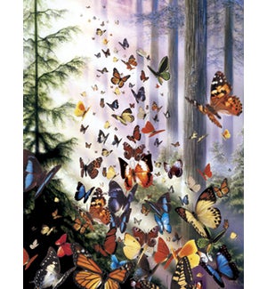 NOTECARD/Butterflies