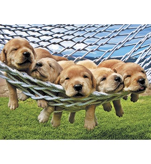 NOTECARD/Five lab puppies
