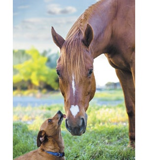 NOTECARD/Dog licks horse