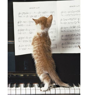 NOTECARD/Cat sheet music