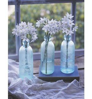 NOTECARD/Jars with flowers