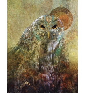 NOTECARD/Owl