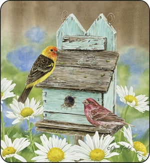 COASTER/BIRDS ON BIRDHOUSE