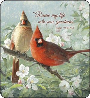 COASTER/CARDINALS ON BRANCH