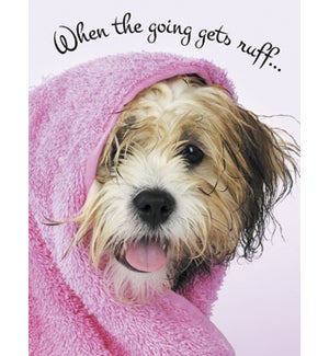 ED/Wet dog in pink towel