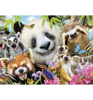 ED/Panda, sloth selfie