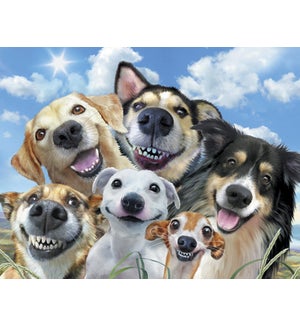 ED/Dogs smiling for selfie