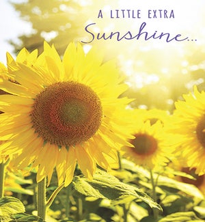 ED/Yellow sunflowers
